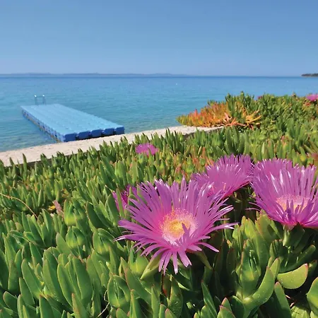 Casa vacanze Stunning In With Wifi *